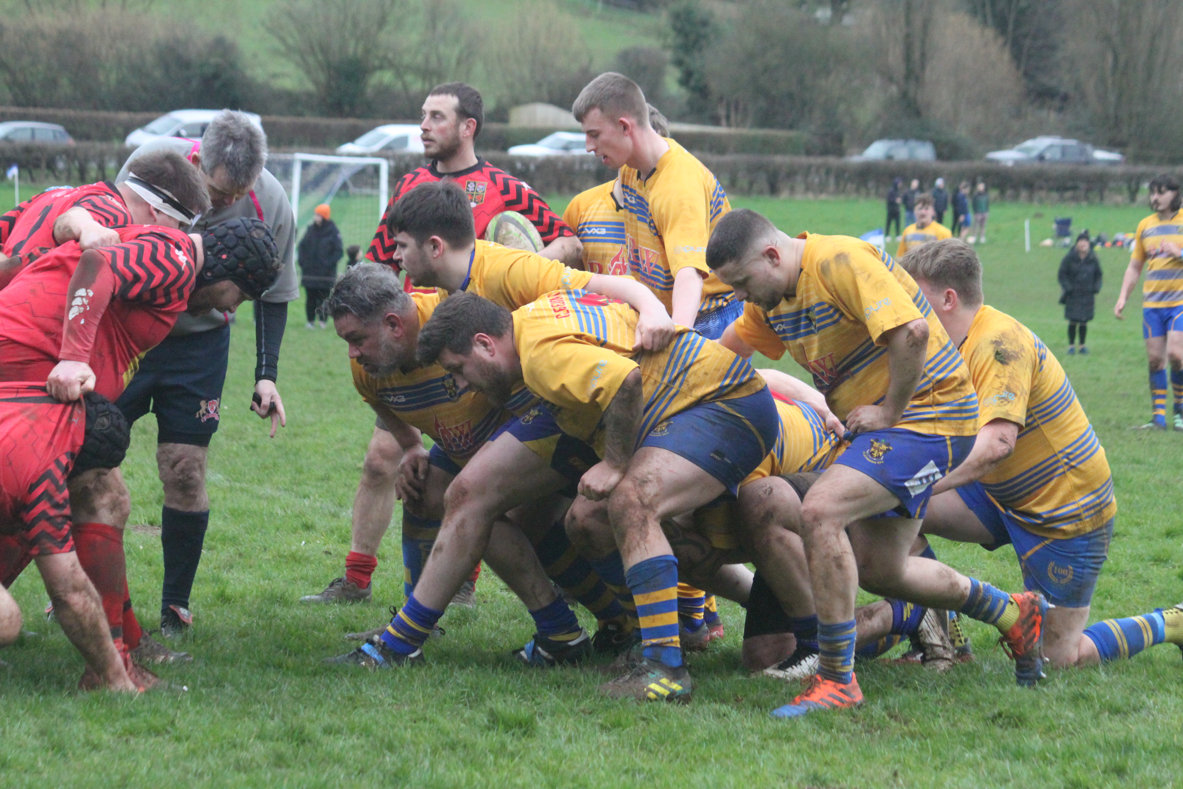 Image from last season